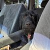Are we there yet?.jpg
