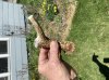 08451678-D046-444A-AC1D-672A21E2A1CA.jpeg