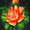 rose.png