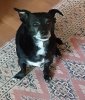 20220424_110218.jpg
