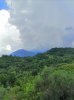 IMG_20220828_133550.jpg