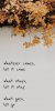 2e941cd7ca39a328fe7bda5ed7d7a6cc_kindlephoto-729749995.jpg