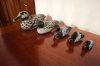 IMG_20220908_170451.jpg