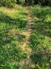 IMG_20221012_162804.jpg