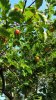 IMG_20221012_162526.jpg