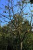 IMG_20221012_163422.jpg