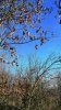 IMG_20230112_074808.jpg