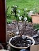 IMG_1274.jpeg
