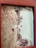 IMG_1029-3.jpeg